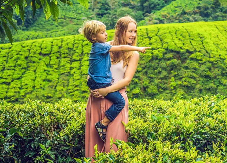 🌴 Discover Sri Lanka in 12 Days – Nature, Culture & Adventure Awaits!